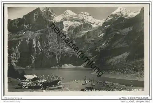 Oeschinensee - Blümlisalp - Foto-AK