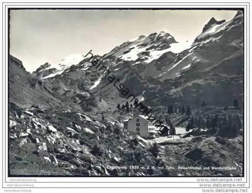 Engstlenalp - Titlis - Reisendnollen und Wendenstöcke - Foto-AK Grossformat 60er Jahre