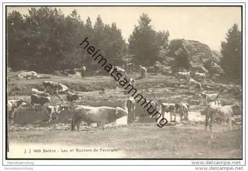 Saleve - Lac et Rochers de Faverges ca. 1910