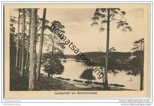 Berlin-Grunewald - Landschaft am Schlachtensee - AK ca. 1930