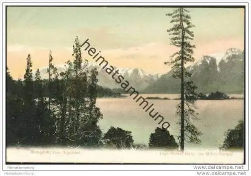 Neuquen - Lago Nahuel Huapi con Isla Victoria ca. 1900