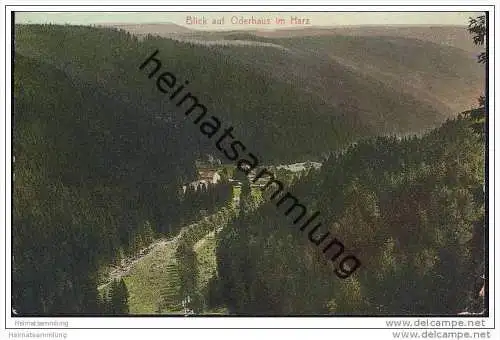 Blick auf Oderhaus im Harz