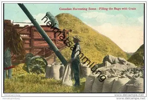 Canadian Harvesting - Filling the Bags with Grain - Weizensäcke füllen - Landwirtschaft