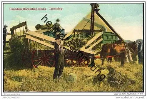 Canadian Harvesting - Threshing - Dreschmaschine - Landwirtschaft