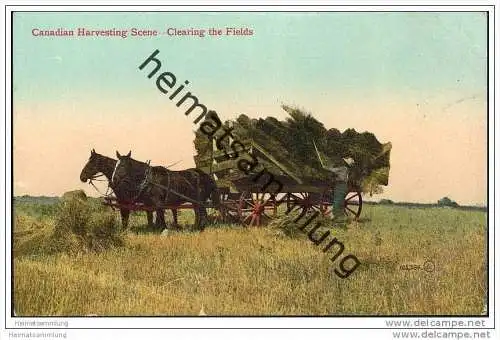 Canadian Harvesting - Clearing the Fields - Getreidegarben - Landwirtschaft