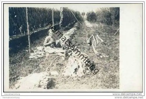 Tabakverarbeitung - Foto-AK