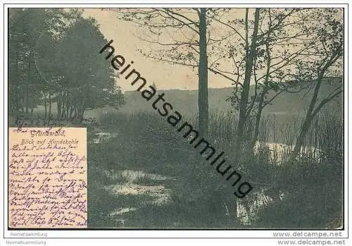 Berlin-Grunewald - Blick auf Hundekehle