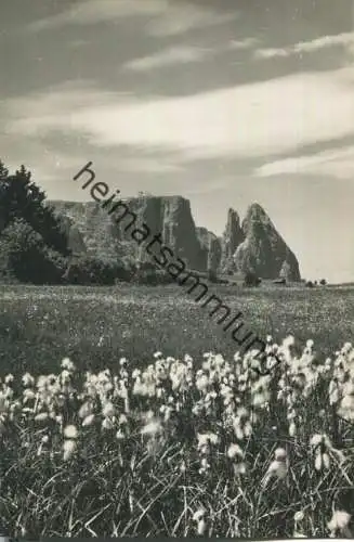 Alpe di Siusi - Foto-Ansichtskarte - Edizioni Ghedina Cortina