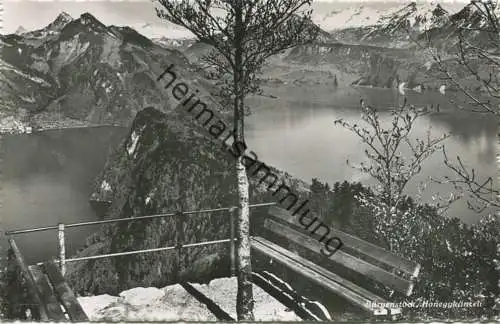 Bürgenstock - Honeggkänzeli - Foto-AK