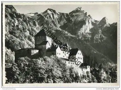 Vaduz - Schloss - Rhätikonberge  - Foto-AK Grossformat