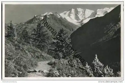 Piz Palü - Höhenweg - Foto-AK