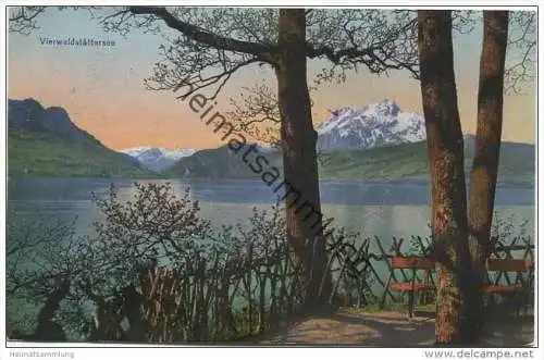 Schweiz - Luzern - Vierwaldstättersee und der Pilatus - Partie bei Hertenstein