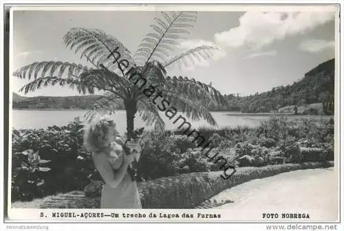 S. Miguel - Acores - Um trecho da Lagoa das Furnas - Foto-AK