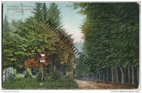 Fuchstanz im Taunus - Durchblick auf den grossen Feldberg