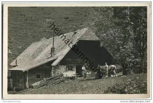 Bad Reichenhall - Steiner-Alm am Staufen - Foto-AK