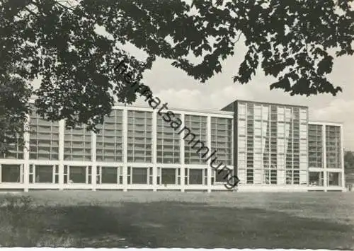 Magdeburg - Elbe-Schwimmhalle - Foto-AK Grossformat - Verlag Konsum FOKU Magdeburg gel. 1964