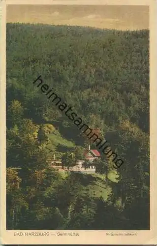 Bad Harzburg - Sennhütte - Inhaber Fr. Mai - Verlag R. Lederbogen Halberstadt