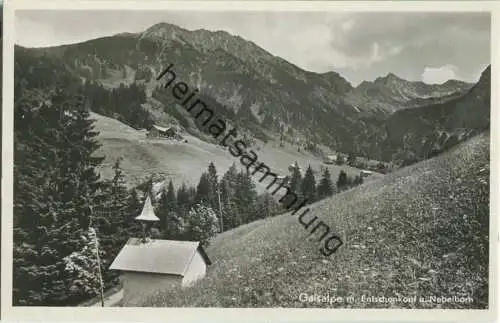 87538 Gaisalpe - Entschenkopf - Nebelhorn - Foto-Ansichtskarte - Verlag Gebr. Metz Tübingen