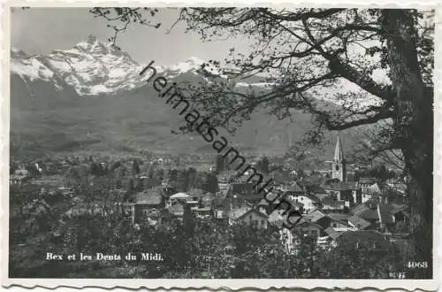 Bex et les Dents du Midi - Foto-AK - Edition O. Sartori Lausanne gel. 1946