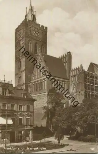 Frankfurt an der Oder - Marienkirche - Foto-AK 20er Jahre - Verlag Georg Gierschner Frankfurt a. O.