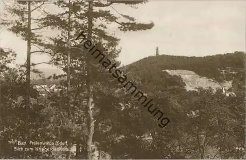 Bad Freienwalde - Blick zum Kriegerdenkmal - Foto-AK 20er Jahre - Verlag Trinks & Co. GmbH Leipzig