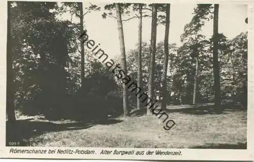 Römerschanze bei Nedlitz-Potsdam - Alter Burgwall aus de Wendenzeit - Foto-AK 30er Jahre - Verlag Ludwig Walter Berlin