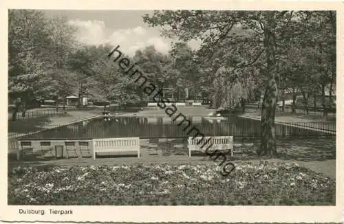 Duisburg - Tierpark - Foto-AK - Verlag Cramers Dortmund