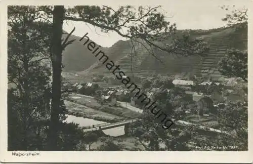 Walporzheim - Foto-AK - Verlag F.G. Zeitz