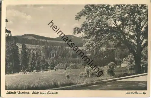 Schierke - Brocken - Blick vom Kurpark - Foto-Ansichtskarte - Verlag A. Stenner Schierke