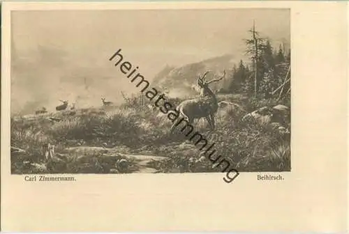 Jagd - Carl Zimmermann - Beihirsch - Künstleransichtskarte ca. 1900