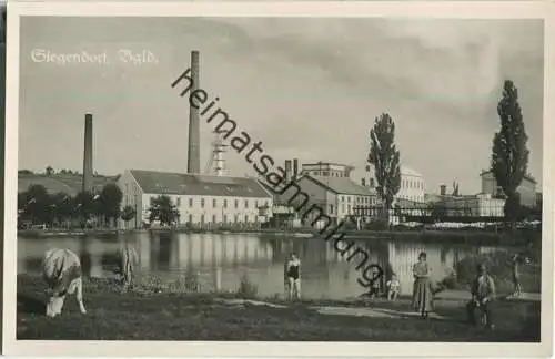 Siegendorf - Burgenland - Foto-Ansichtskarte