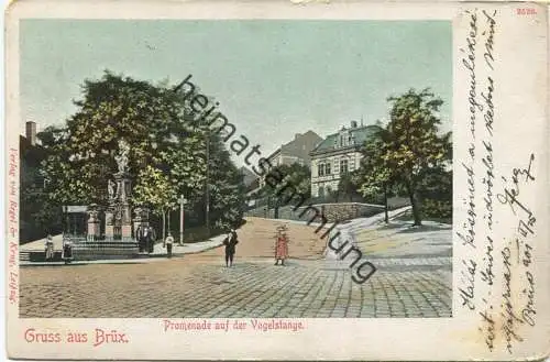 Gruss aus Brüx - Most - Promenade auf der Vogelstange - Verlag Regel & Krug Leipzig gel. 1901