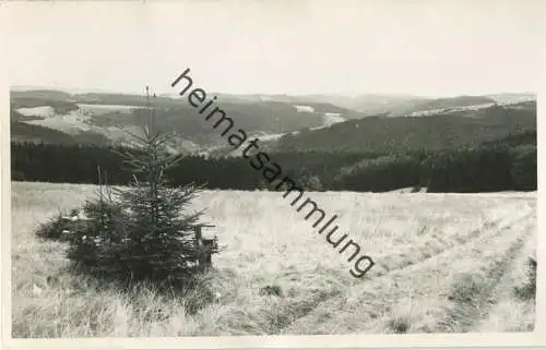 Katzhütte - Foto-AK - keine AK-Einteilung