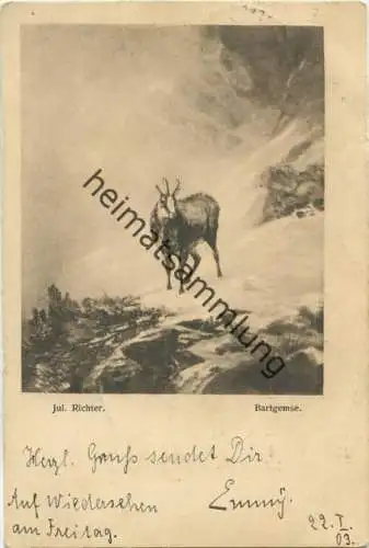 Bartgemse - Künstlerkarte Jul. Richter 211 gel. 1903