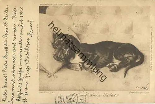 Dackel - Auf verbotenem Gebiet - Künstlerkarte J. von Holst gel. 1905