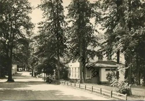 Neuglobsow - Stechlinsee-Strasse - Foto-AK Grossformat 60er Jahre - Verlag Foto-Hanich Dresden