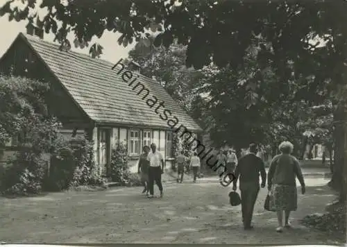 Neuglobsow - Stechlinseestrasse - Foto-AK Grossformat 60er Jahre - Verlag H. Sander KG Berlin