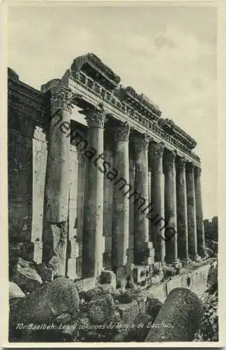 Libanon - Baalbek - Les 9 colonnes du Temple de Bacchus - Wakim Awad et Wadhi Salame Baalbek-Liban