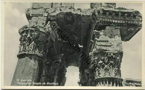 Libanon - Baalbek - Plafond du Temple de Bacchus - Wakim Awad Baalbek (Liban)