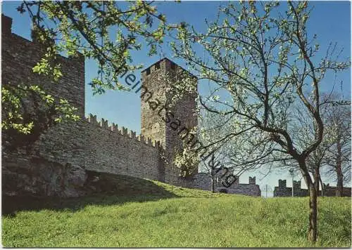 Bellinzona - Castel grande - AK Grossformat - Verlag Arno Carpi Bellinzona