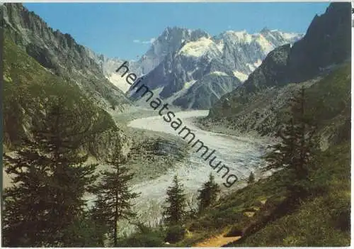 Chamonix - Mont Blanc - La Mer de Glace - Ansichtskarte Großformat