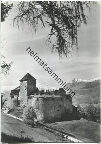 Vaduz - Schloss - Falknis - Foto-Ansichtskarte Großformat