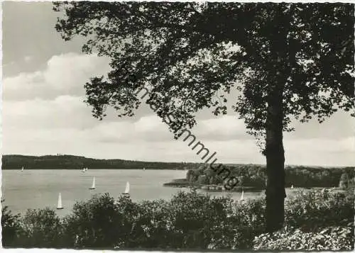 Berlin-Zehlendorf - Wannsee - Blick vom Blockhaus Nikolskoe auf die Pfaueninsel - Foto-AK Grossformat - Verlag Max O'Bri