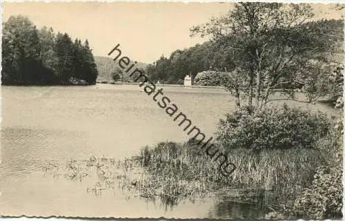 Güntersberge - Bergsee - Foto-AK - Verlag HO Fotolabor Quedlinburg gel. 1961