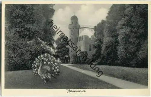 Berlin - Pfaueninsel - Schloss