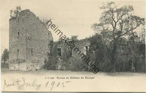 Ruines du Chateau du Bourget - Edition Jullien freres Geneve