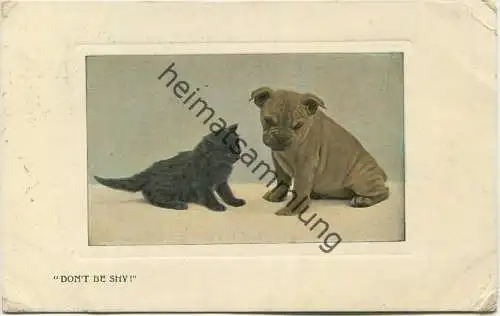 Katze - Hund - Don't be shy - The Valetines & Sons Publishing Co. Ltd. New York gel. 1908