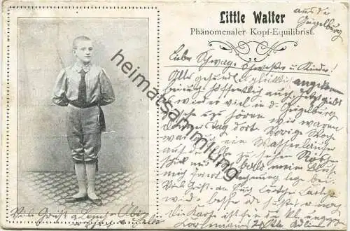 Little Walter - Phänomenaler Kopf-Equilibrist - Gebrauchsspuren gel. 1901