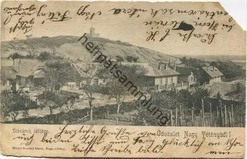 Üdvözlet Nagyteteny - Diosarok latkepe gel. 1904