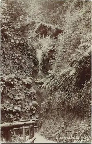 Isle of Wight - Shanklin - Chine - Foto-AK 1906